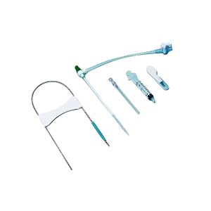 Femoral Sheath