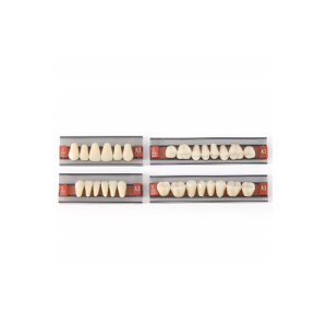 Resin Teeth