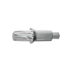 Straight Titanium Abutment